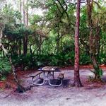 Lake Kissimmee State Park