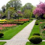 Jackson Park