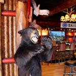 Camp Bar | Third Ward
