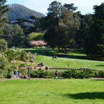 Golden Gate Park - Botanical Gardens