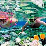 Snorkeling at the Puerto Morelos Reef*