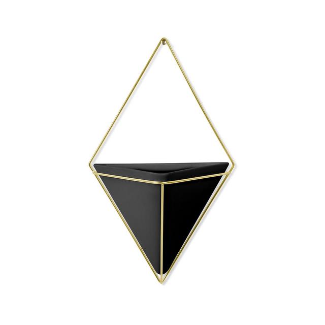 Umbra Trigg Wall Display Large