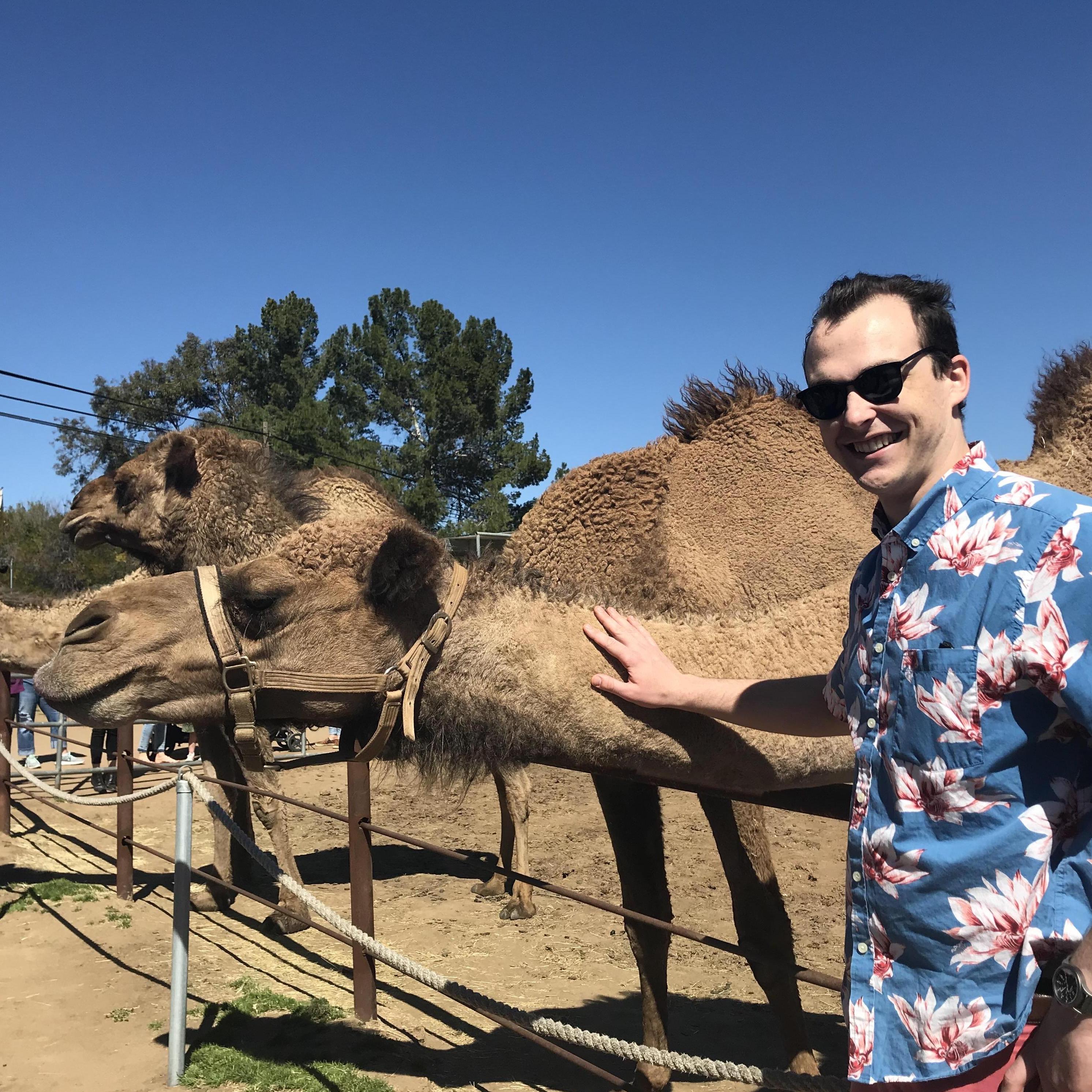 Patrick fulfills his dream by meeting a camel~