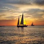 Salt and Mist Sea Tours