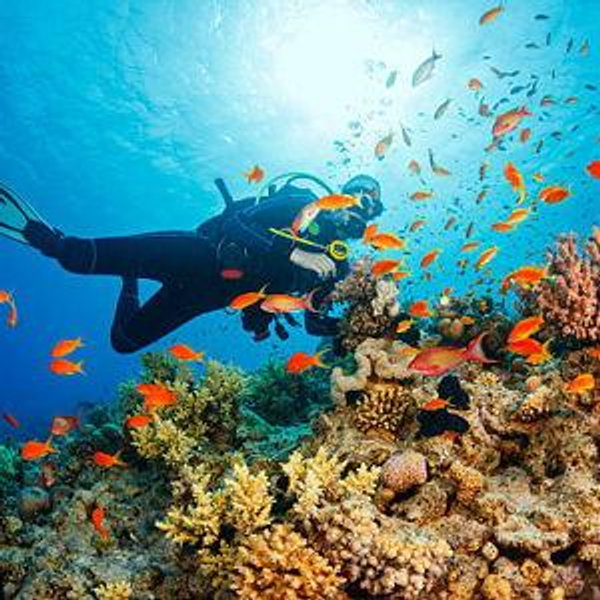 Discover Scuba Diving