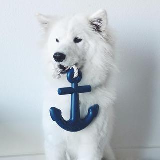 Anchors Aweigh Toy