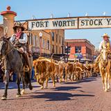 Stockyards Boulevard
