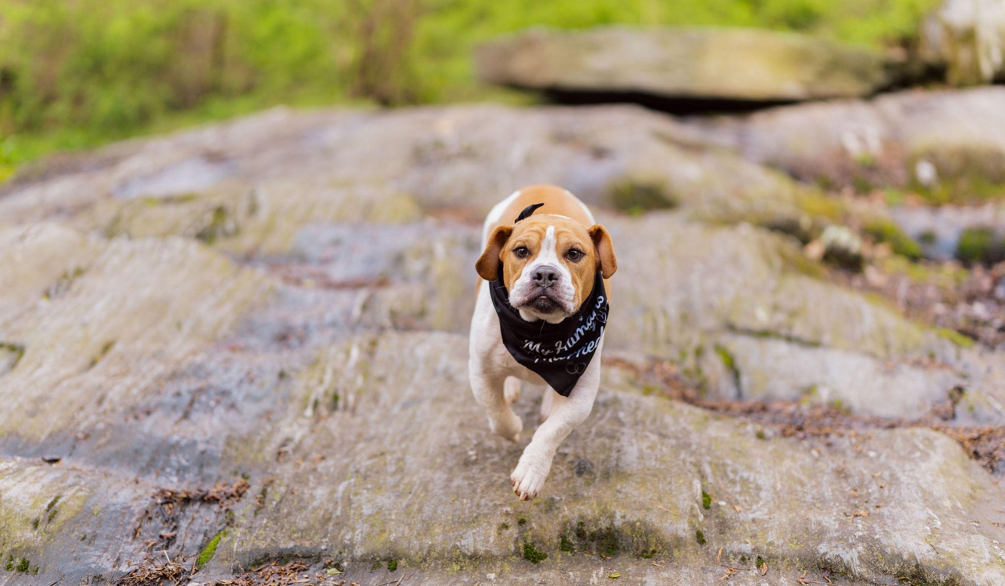 Hero Slideshow Image 4