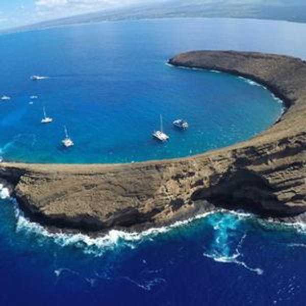 Molokini Snorkel & Catamaran Excursion