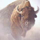 National Museum of Wildlife Art