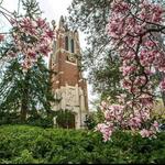 Michigan State University