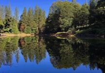 Todd Valley Pond Park - Picnic