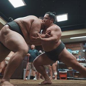 Sumo Experience