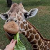 Fort Worth Zoo