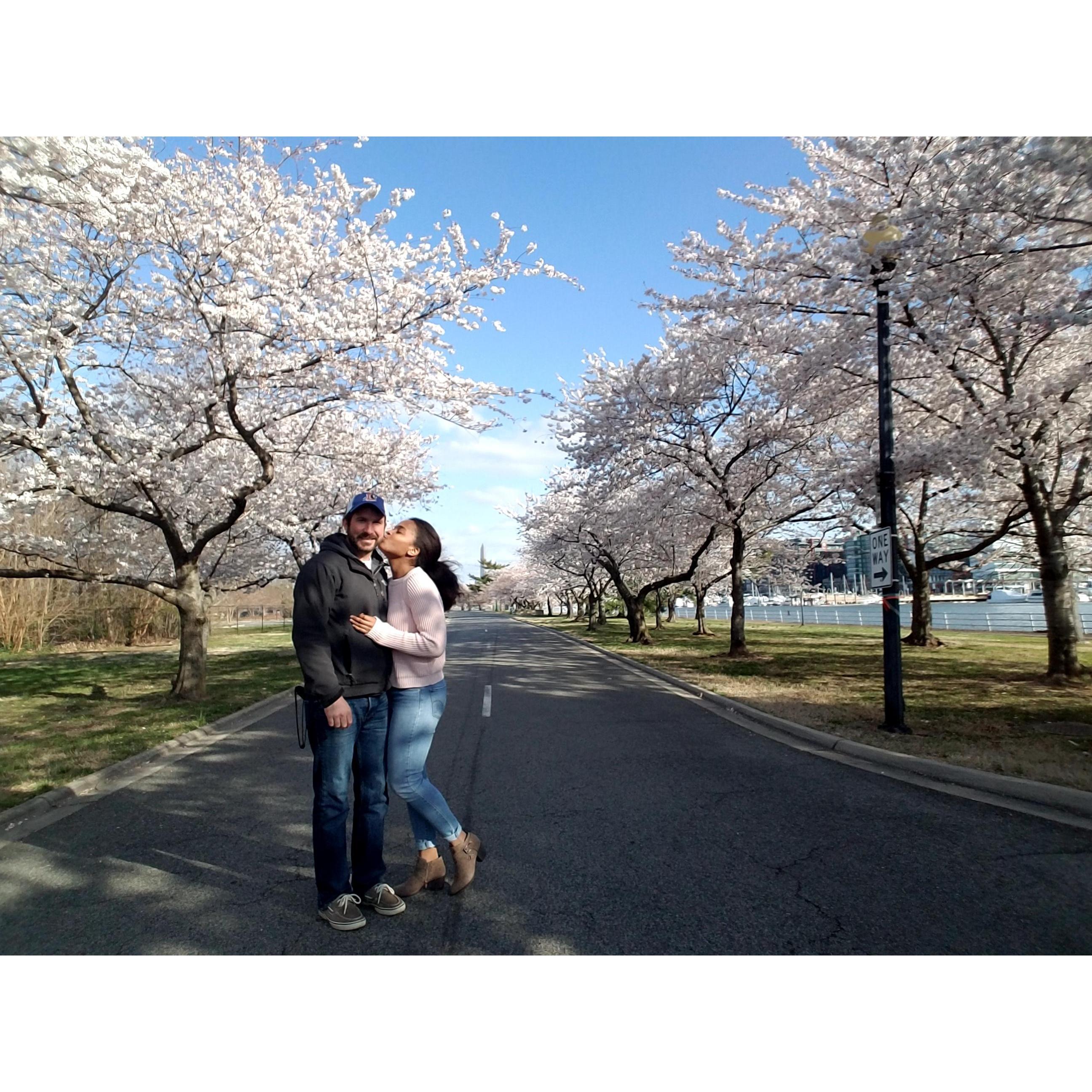Enjoying the beautiful cherry blossoms on my (Elise's) birthday in April 2018!