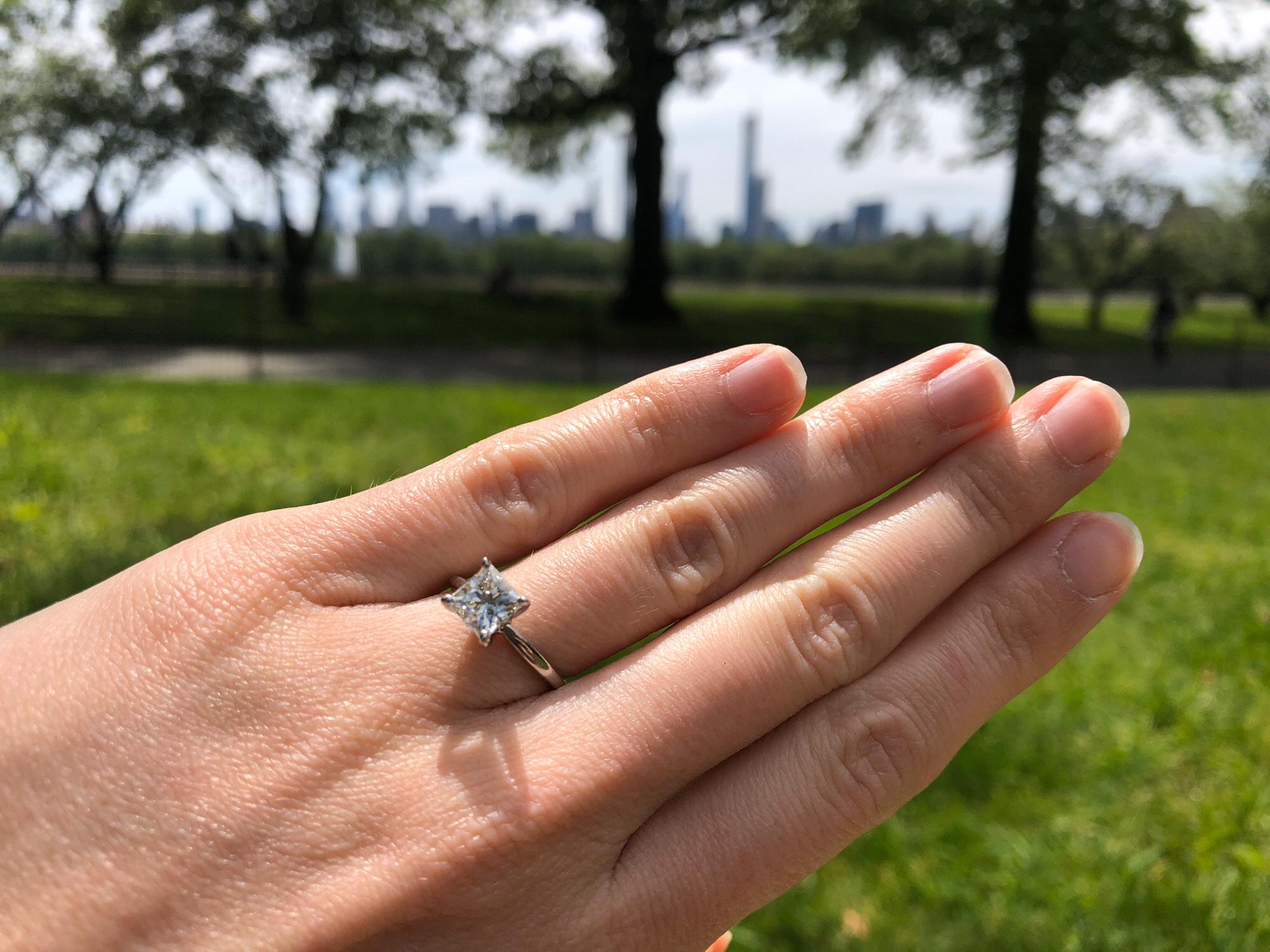 Proposal in Central Park, NYC.