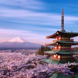 Honeymoon to Japan