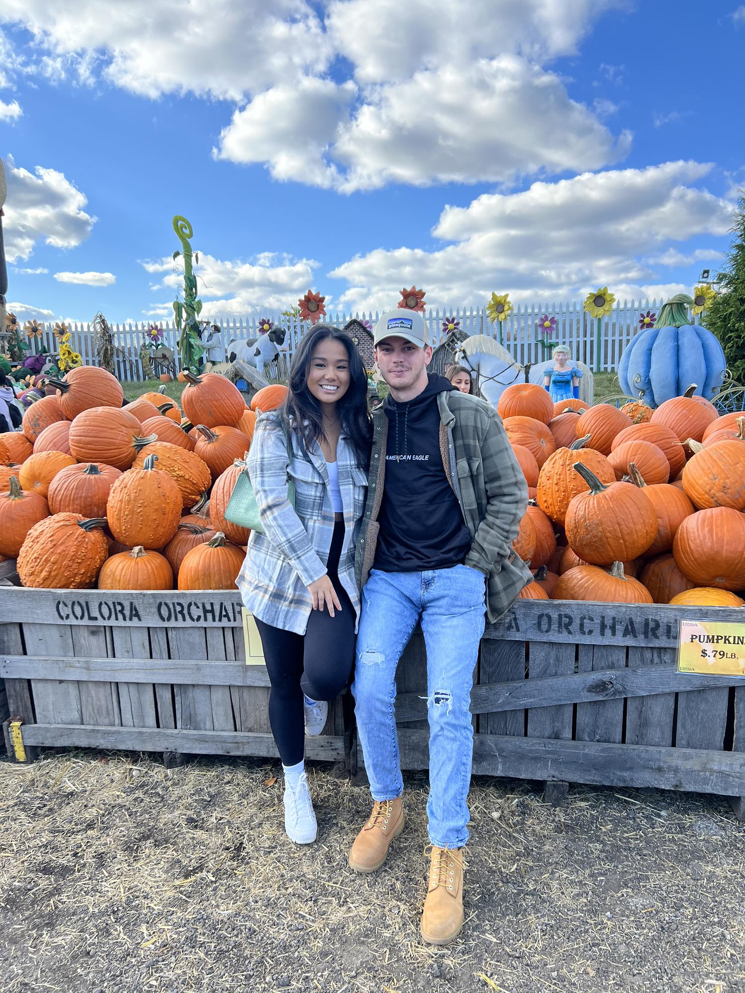 A picture full of pumpkins!