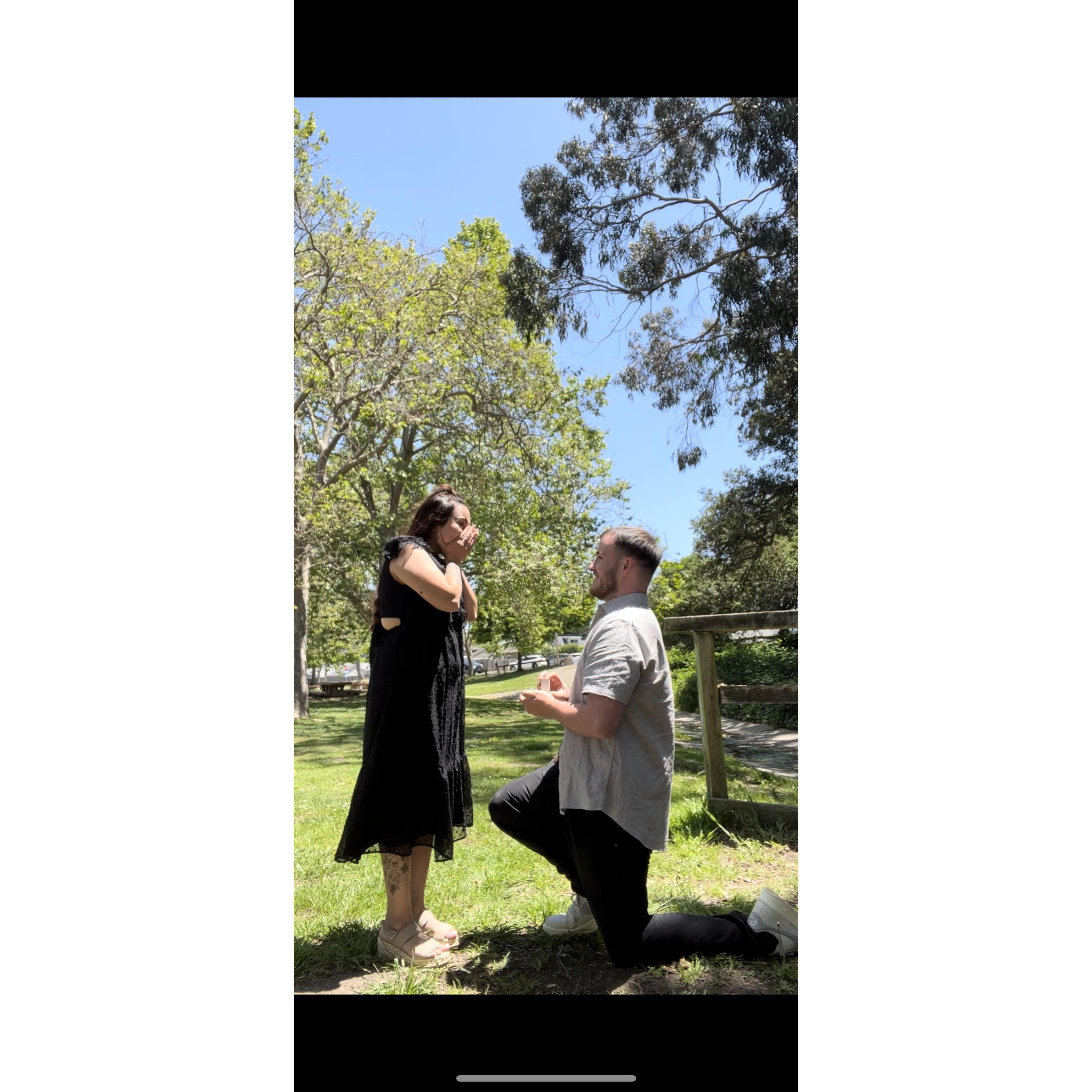 She said YES!!!!