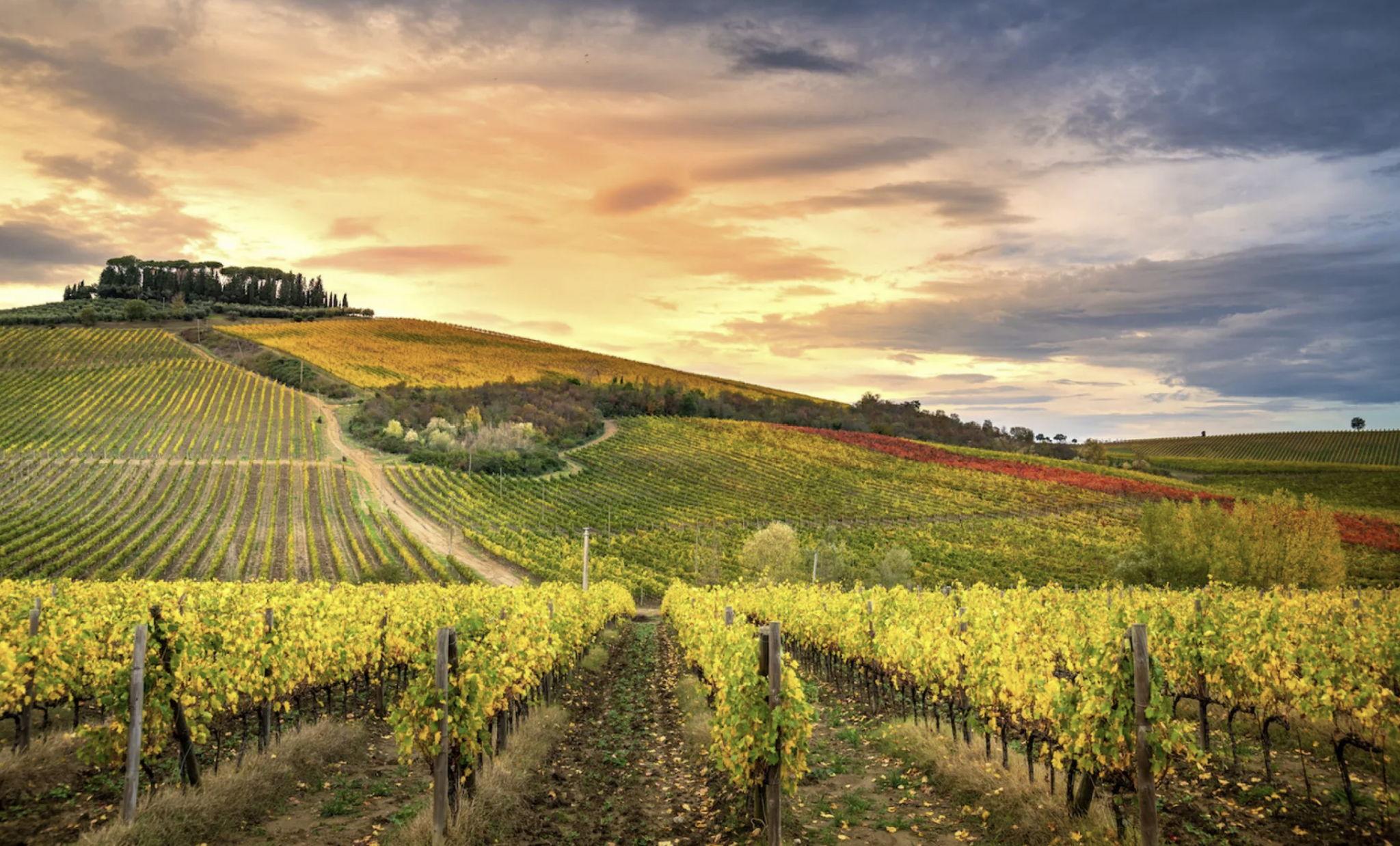 The Wedding Website of Andy Packwood and Cassie Root