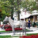 Downtown Saratoga Springs