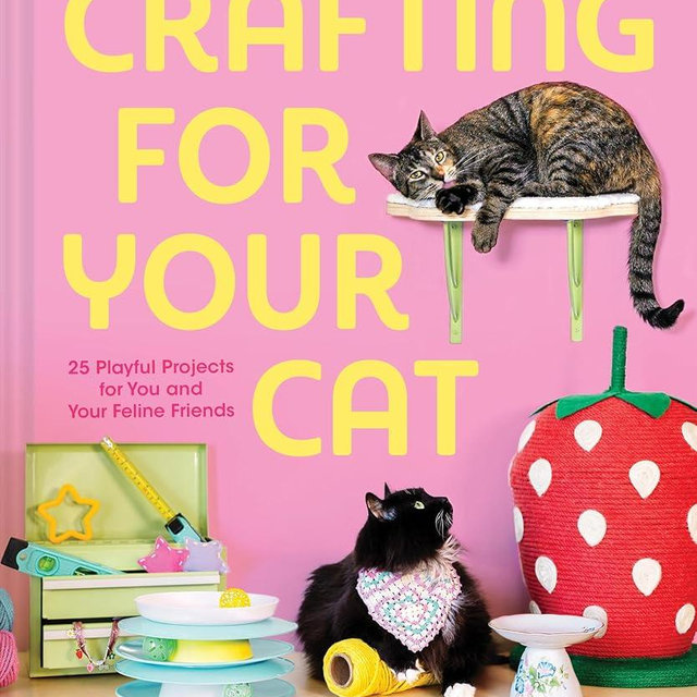 Crafting for Your Cat: 25 Playful Projects for You and Your Feline Friends