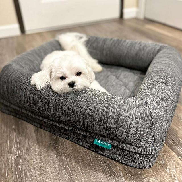 Newton Orthopedic Pet Bed - Washable Dog Bed for Small Dogs, Puppy Bed, Crate Bed, with Removable & Breathable Dog Bed Cover, Comfy & Durable Dog Bed for Small to Large Dogs, Dog Essentials, Small