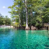 Morrison Springs County Park