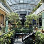 Oviedo mall
