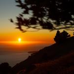 Mount Tamalpais