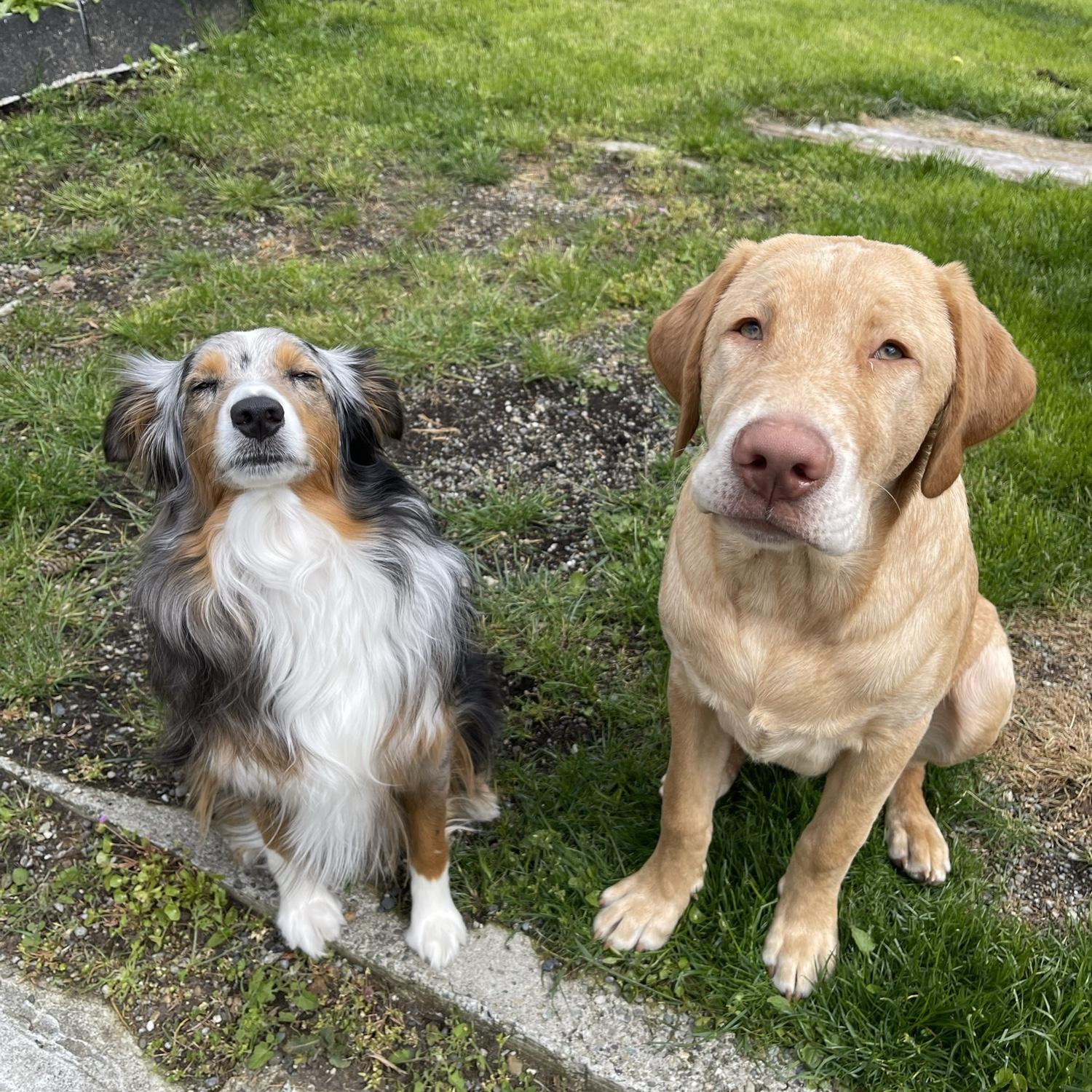 Bubba and Harle (she’s camera shy)