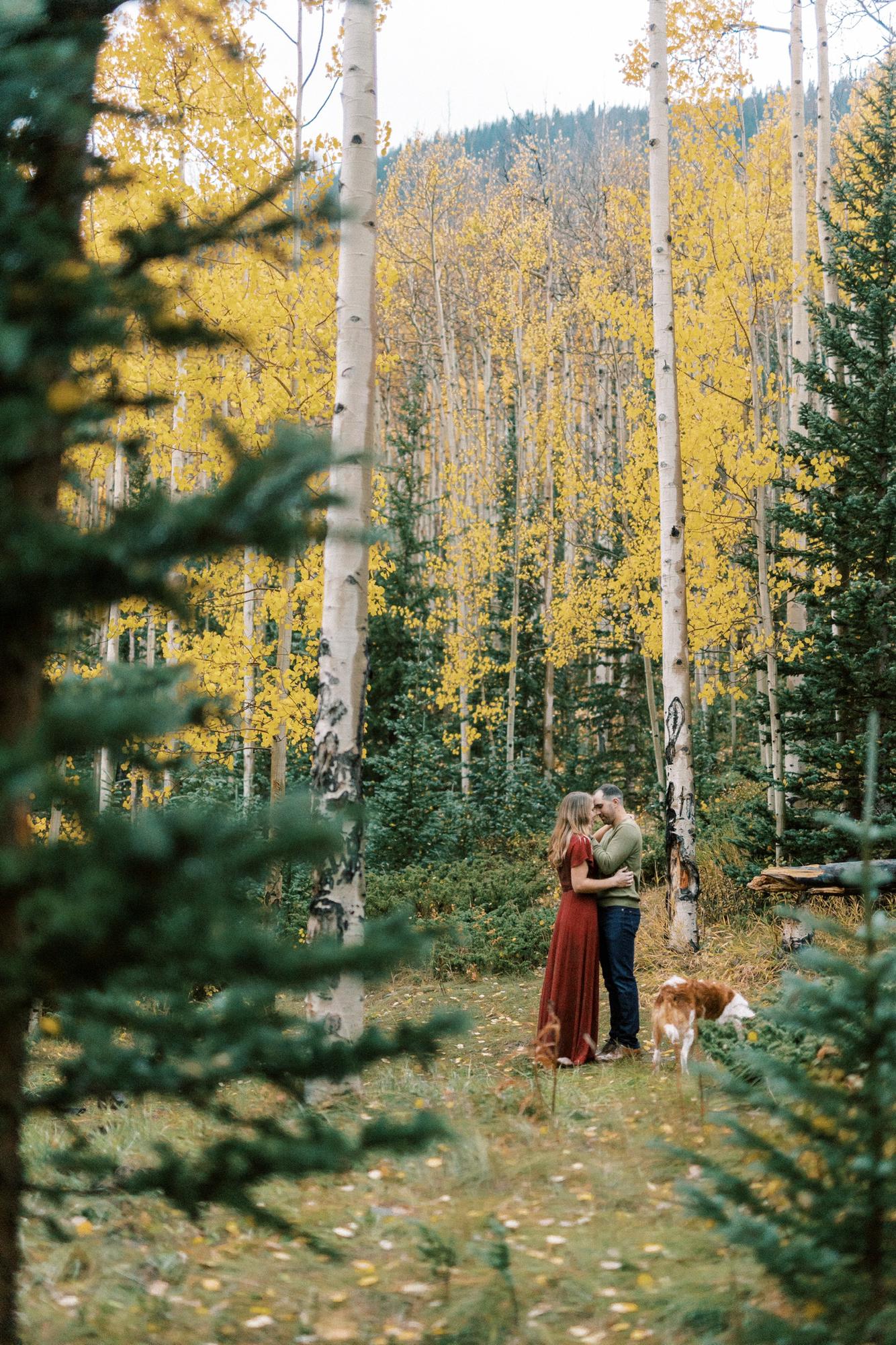 Sarah Nichole Photography