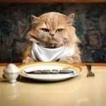 Our favorite places for dinner