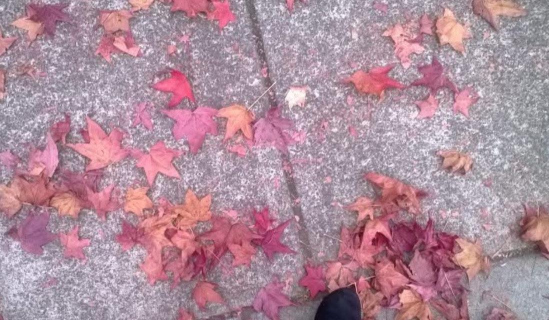 The Wedding Website of Sierra Nicole Guarino and Jeffery Alan Williams