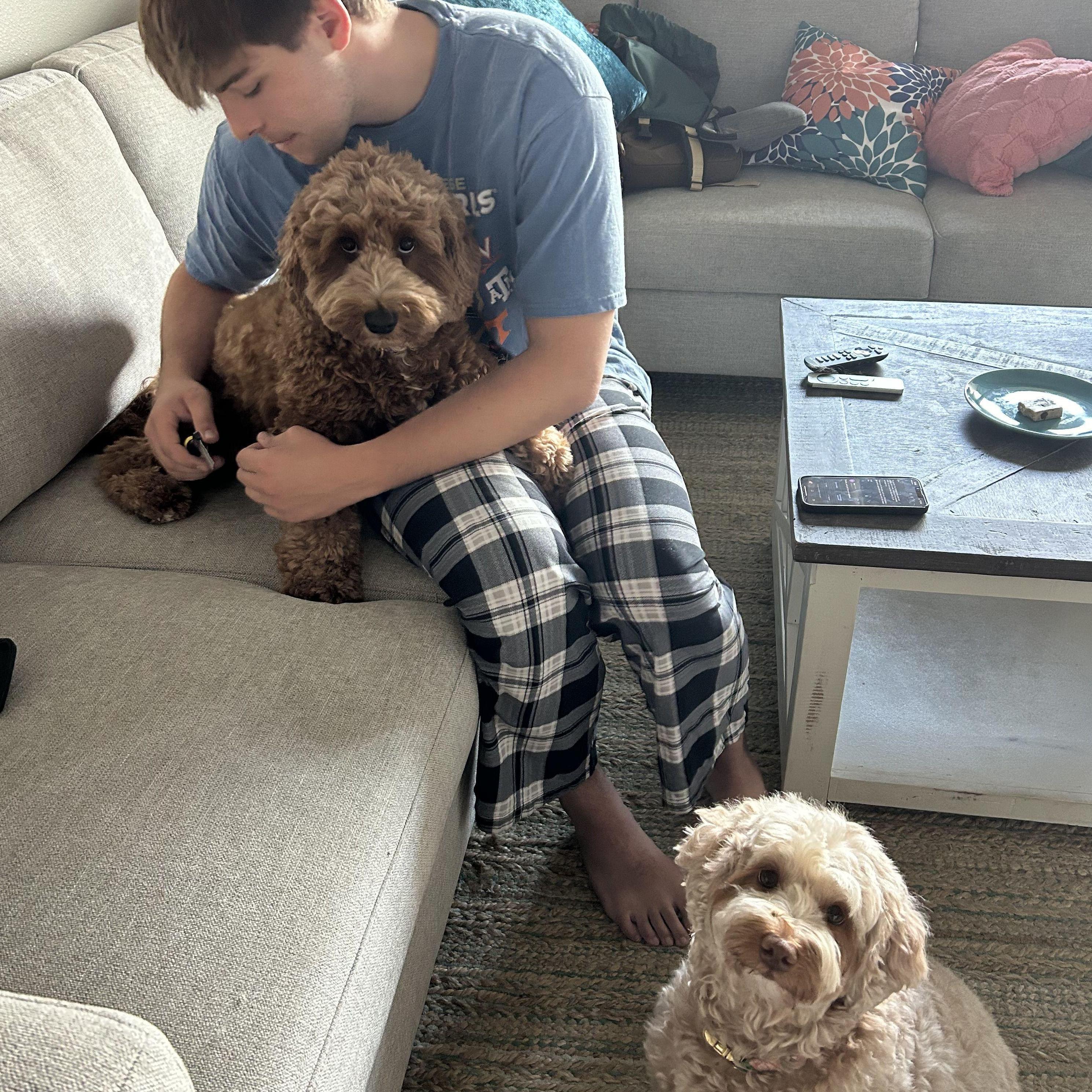 Ben and Kylee got to take care of the Dinwiddie puppies for the week. Getting brushed by Ben right now!