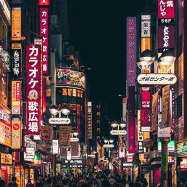 Tokyo Honeymoon fund!