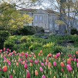 Cheekwood Estate and Gardens