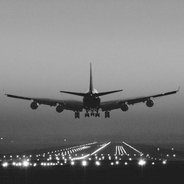 Honeymoon Flight