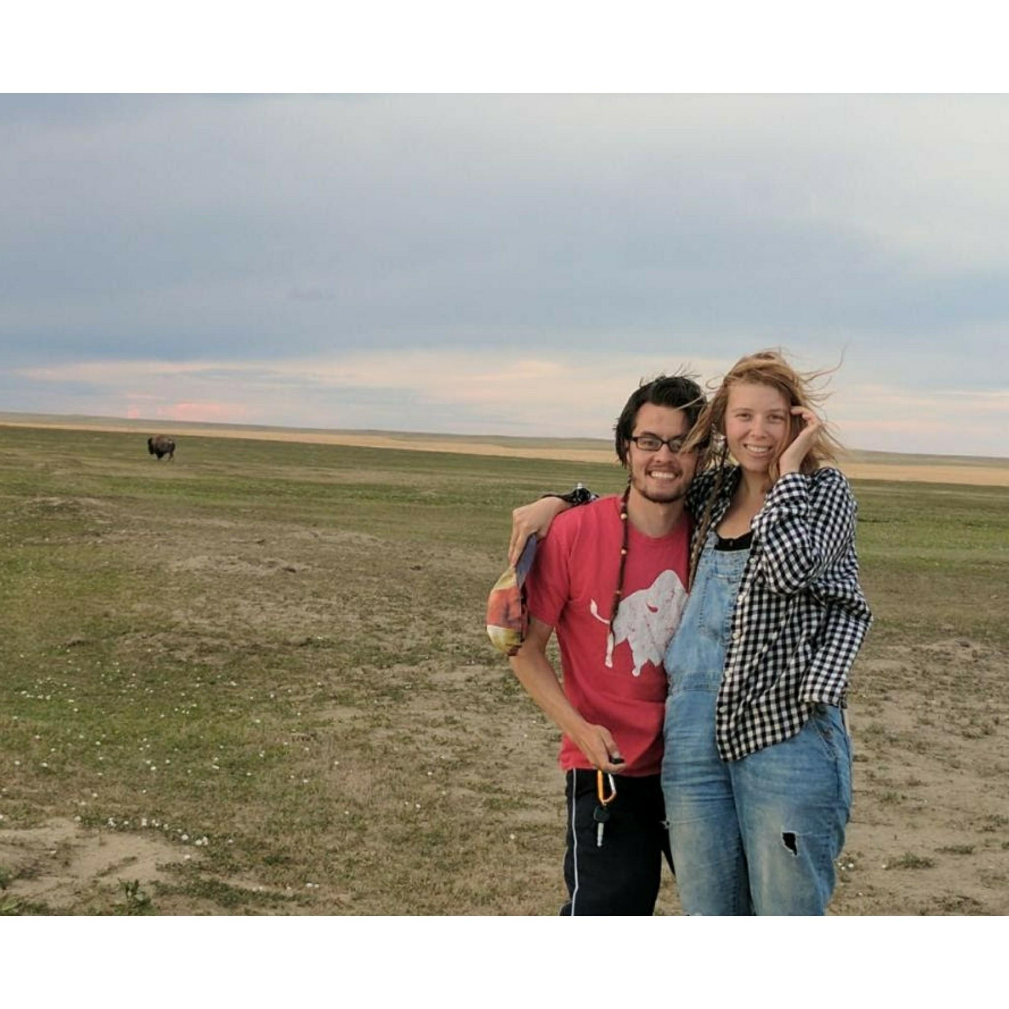 We were so excited when we saw a Bison! We weren't so sure we would see one but we considered seeing at least one pretty lucky.