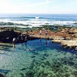 La Jolla Tide Pools