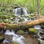 Apple Orchard Falls Trailhead