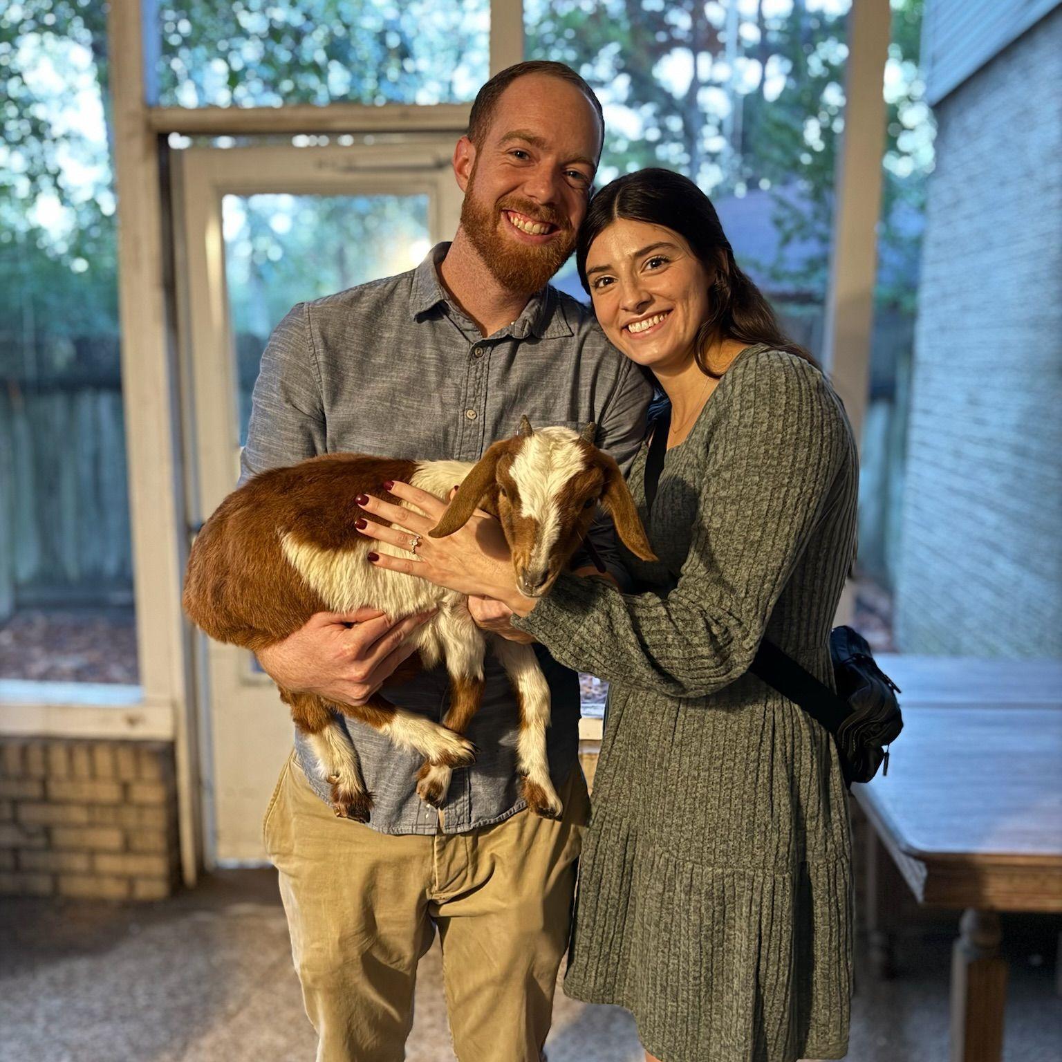 Surprise engagement present: some goats to play with!