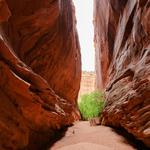 Singing Canyon