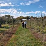 Curtis Orchard & Pumpkin Patch
