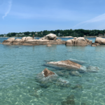 Wingaersheek Beach