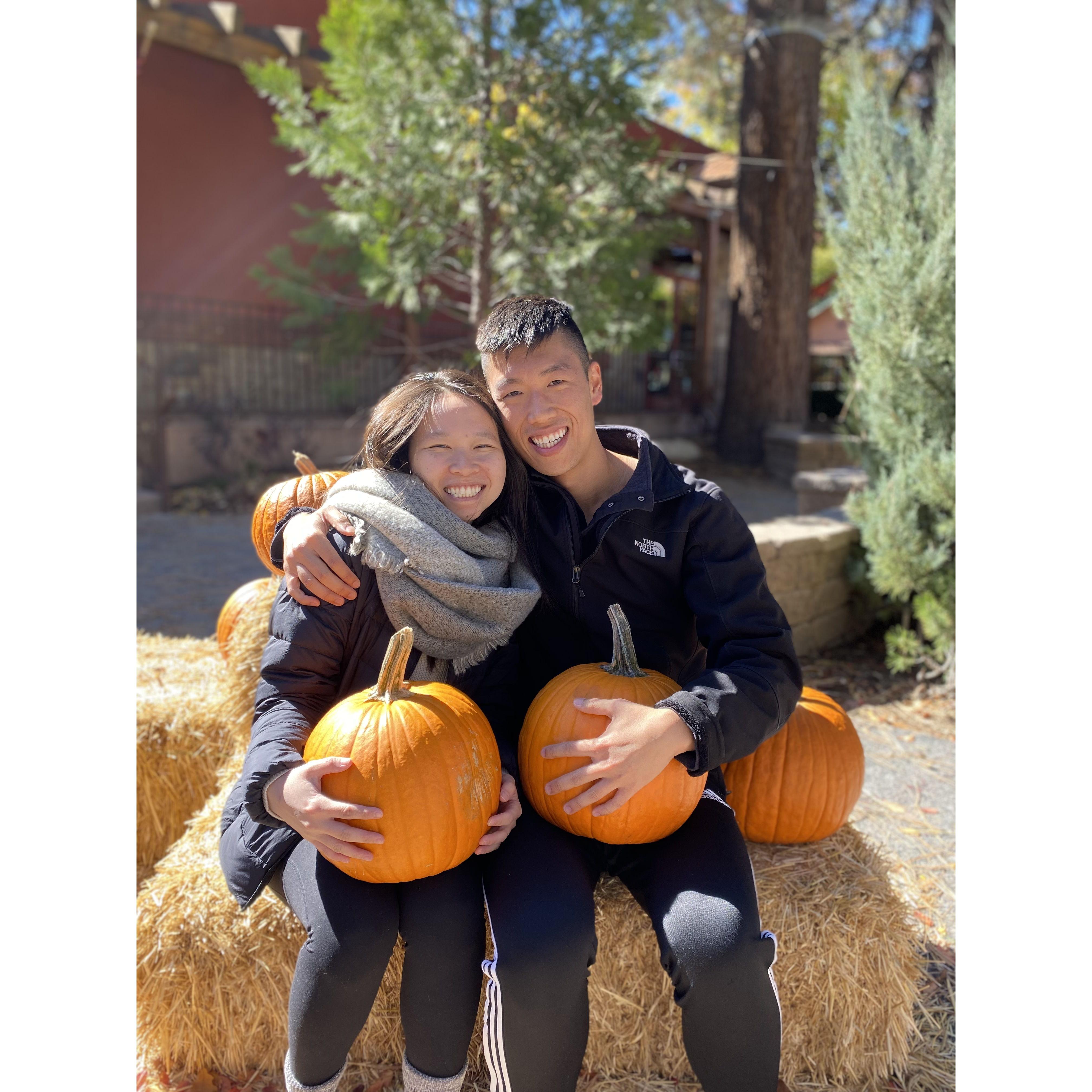 A road trip with our medical school pals to Big Bear during the Fall!