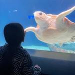 Birch Aquarium