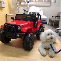 It's hard not to want to ride this Jeep at the Summey Medical Pavilion when your name is "Harley"