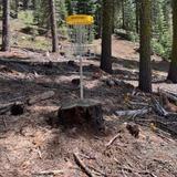 Dodge Ridge Disc Golf