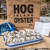 Food - Hog Island Oyster